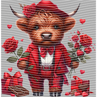 Valentine's Day-QRJ  789